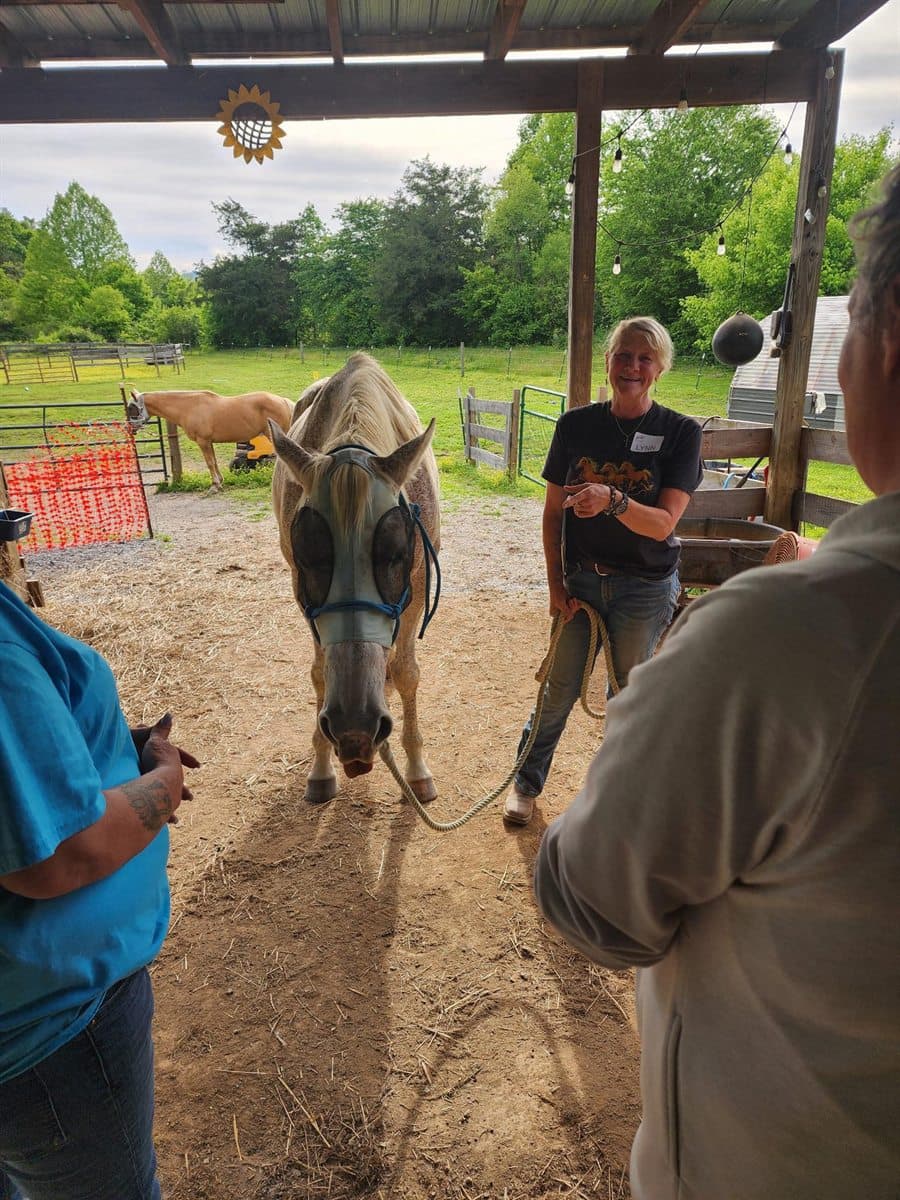 Lynn teaching a small group how to read a horse's body language at BellaSoul Farm
