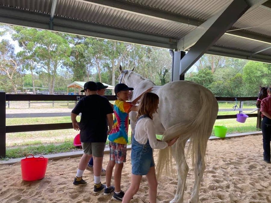Family members gently caring for a horse together