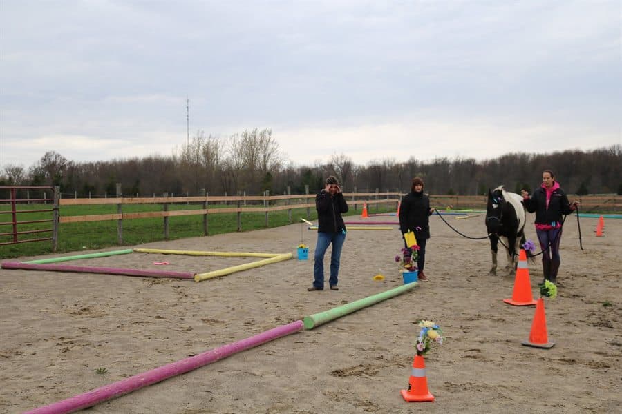 A horse led calmly through a ground-based activity